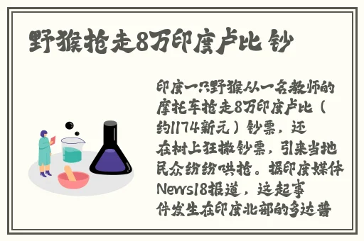 欧美国产日本